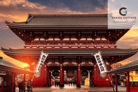 Tokyo Customize Private City Tour By English Speaking Driver