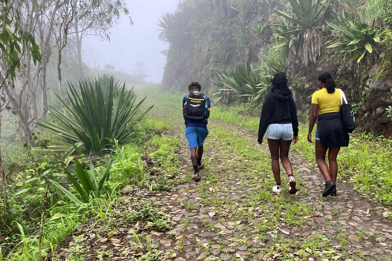 Hiking: From Serra Malagueta to Ribeira Principal