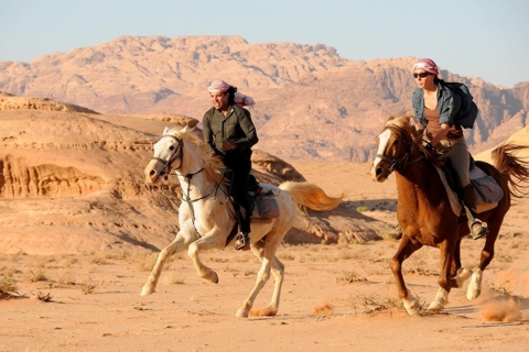 Sharm: Arabian Adventure Horse Ride & Camel Ride w Breakfast Sharm: Horse Ride & Camel Ride Desert Adventure w Breakfast