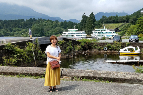 Visite privée de Tokyo en voiture avec prise en charge