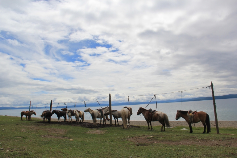 Mongolei: 17-tägige Pferde-Trekking-Tour um den Khovsgol-SeeMongolei: 10-tägige Pferde-Trekking-Tour um den Khovsgol-See