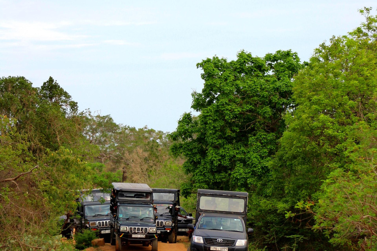 Sri Lanka: fauna e spiaggia