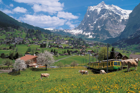 From Bern: Swiss Alps, Lauterbrunnen, &amp; Beatus Caves TourPrivate Tour
