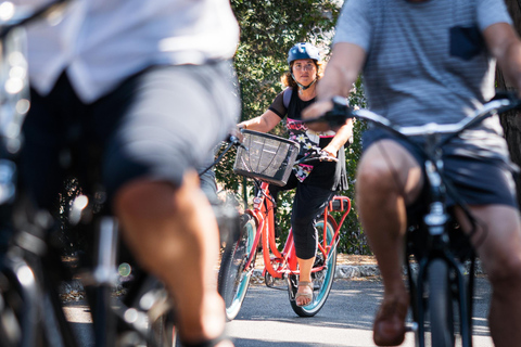 Niza: Visita en bicicleta eléctrica a los viñedos de Bellet con cata de vinos