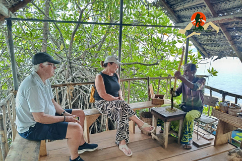 From Colombo: Southern Coast Discovery & Galle Heritage Tour