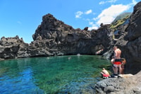 Encantador bosque de abanicos y piscinas volcánicas, maravilla virgen - Hizvo