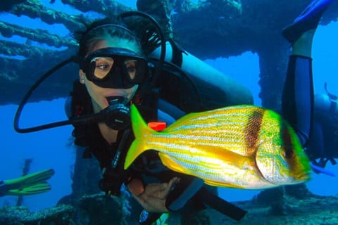 Cancún: 2-Day PADI Open Water Diving Course