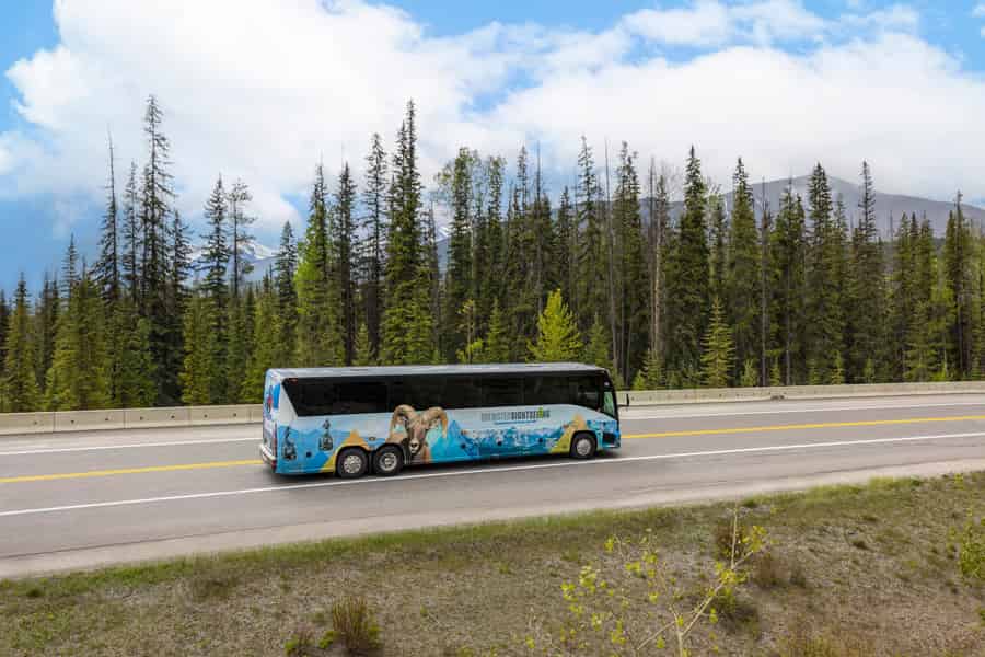 Von Calgary aus: Bustransfer nach Banff. Foto: GetYourGuide