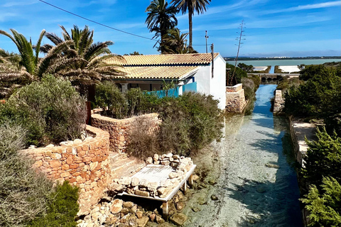 Formentera: Hidden Spots Tour in Land Rover Defender Formentera: Hidden Spots Tour in a Land Rover Defender