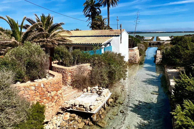 Formentera: Hidden Spots Tour in Land Rover Defender Formentera: Hidden Spots Tour in a Land Rover Defender