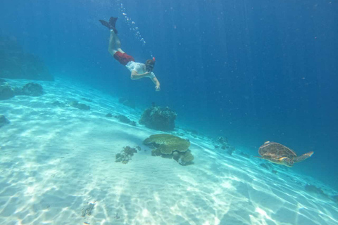 Lombok : Private Snorkeling 4 Spots And See Baby Turtle