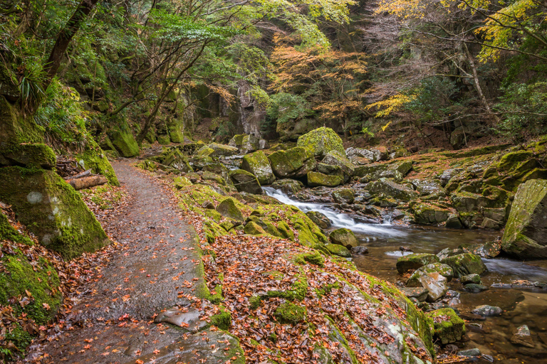 Osaka: Nara, Akame 48 Waterfalls & Tanzan Shrine Tour Shared Tour, Meet at Tsurutontan Soemoncho