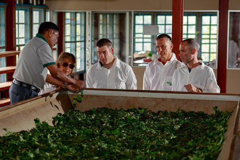 Kandy: Tea Museum, Temple, Bird Park & Dance Show Tour