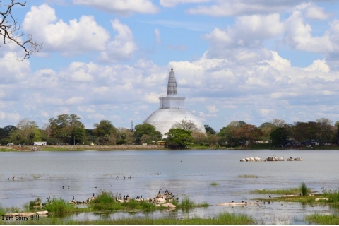 Z Dambulla/Sigiriya: starożytne miasto Anuradhapura na rowerze