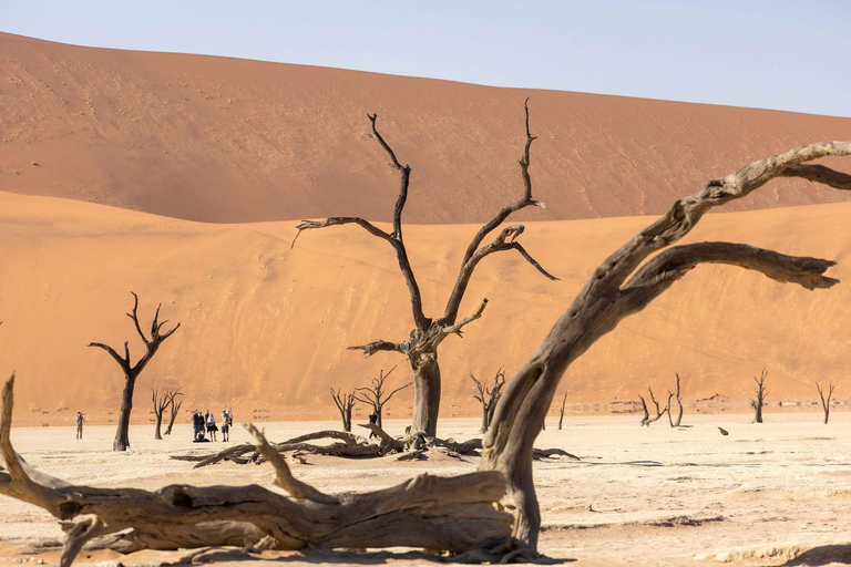 Swakopmund: 3-Day Namib Signature Desert Tour