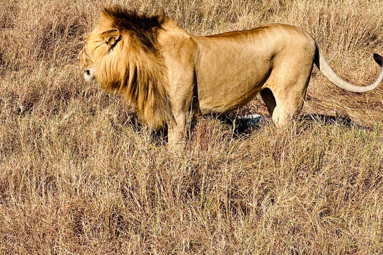 1 TAGESTOUR ZUM AMBOSELI-NATIONALPARK.