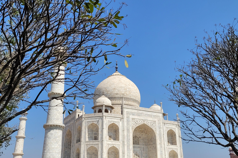 From Delhi: Agra Day Trip with Taj Mahal and Agra FortAC Car and Tour Guide Service Only