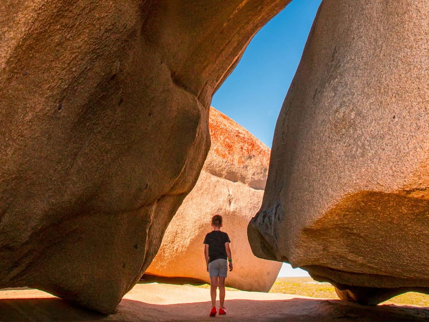 From Penneshaw Kangaroo Island Sights and Wildlife Tour GetYourGuide