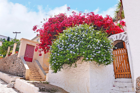 جزيرة هيدرا: رحلة بالحافلة ليوم كامل من أثينا مع السباحة