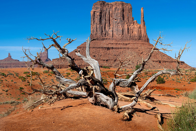 Monument Valley: Scenic Loop Drive Tour with Navajo Guide Monument Valley Loop Drive Tour 1.5 Hour Duration