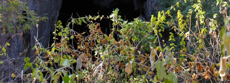 Zimbabwe : Visite des grottes de Chinhoyi avec observation des lions et déjeuner