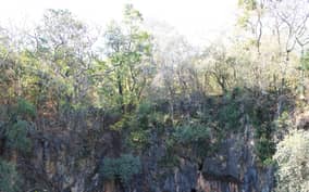 Zimbabwe: Chinhoyi Caves Tour with Lion Viewing and Lunch