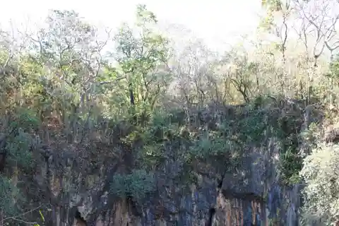Zimbabwe: Chinhoyi Caves Tour with Lion Viewing and Lunch