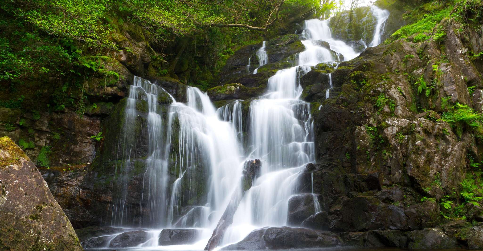 Da Killarney, Portmagee & Skellig Ring tour di un giorno intero - Hizvo