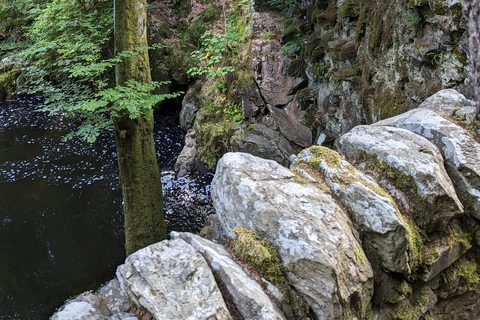 Scone Palace, Nature Walk and Whisky Experience Private Tour