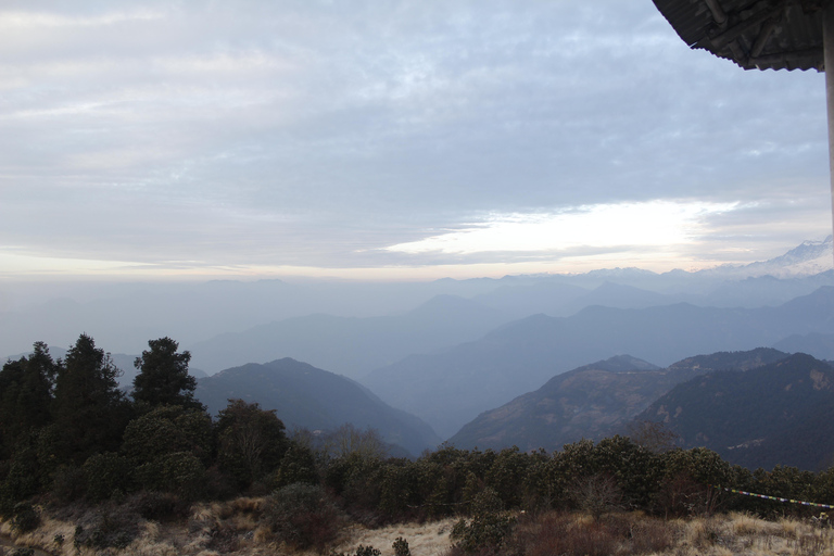 From Pokhara: 2-Day Short Poon Hill Trek