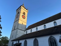 Basel, Schaffhausen & The Rhine's Greatgest Falls Private Tour - Housity