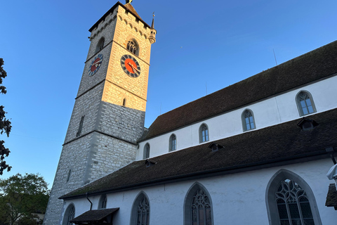 Bazylea: Stein Am Rhein, Schaffhausen i rejs po Renie