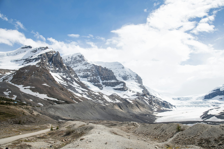 Calgary: Columbia Icefield & Bow Lake & Peyto Lake With Ice Explorer Adventure Ticket (Recommended)