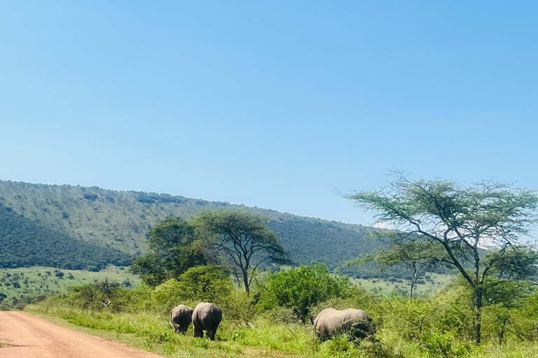 Safari de 1 dia na vida selvagem de Akagera e passeio de barco1 dia de Safari pela vida selvagem em Akagera e passeio de barco