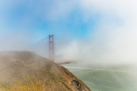 Van San Francisco: groepsreis Muir Woods & Sausalito