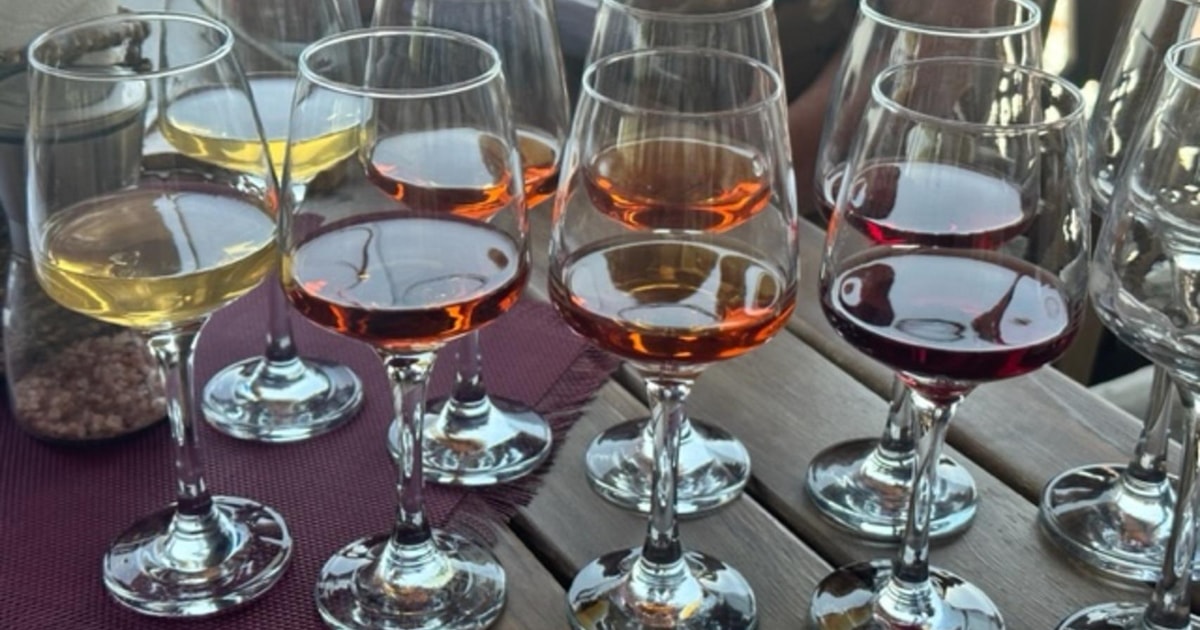 Tbilisi Individual Wine Tasting with Professional Sommelier GetYourGuide