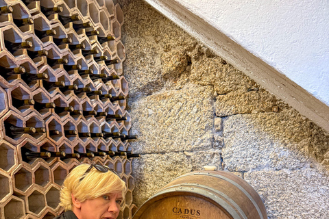 Douro Valley: Wine & Olive Oil Tour with Boat & Lunch Douro Valley: 2 Wineries, Boat Cruise & Traditional Lunch