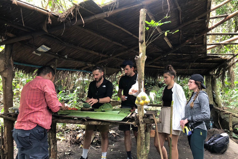 Chiang Rai: Jungle Adventure-Group Trekking & Bamboo Cooking