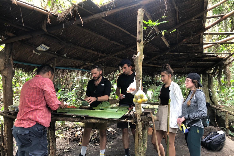 Chiang Rai: Jungle Adventure-Group Trekking & Bamboo Cooking