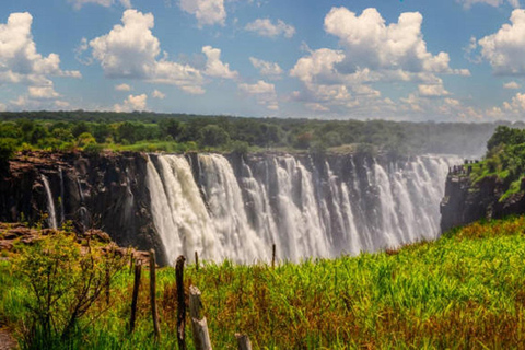 Sunrise Tour of Victoria Falls via Big Tree & Falls Bridge