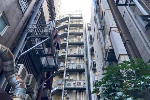 Tokyo : Visite à pied des ruelles profondes de Ginza