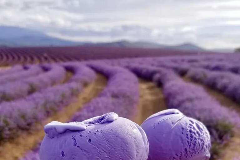 Sapporo: Biei & Furano Summer Flower Fields Day Trip
