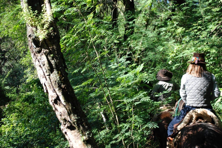 Salta: Full-Day Horseback Ride with BBQ and Snacks Salta: Full-Day Horseback Ride with Mountain Picnic