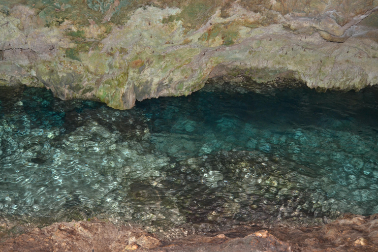 Dauphins +Forêt de Jozani+ Grotte de Kuza+Restaurant The Rock &amp; PajeDauphin +Forêt de Jozani+ Grotte de Kuza+Restaurant The Rock &amp; Paje