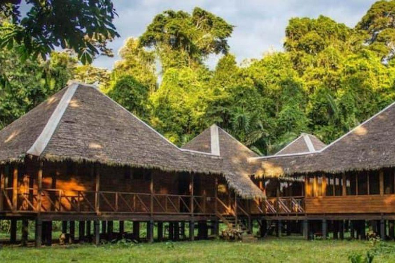 Manu: Amazon Jungle Wildlife & Macaw Clay Lick Tour