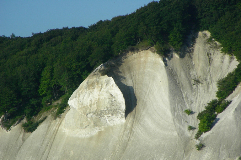 Au départ de Copenhague : Visite privée de Monsklint et de la Tour de la Forêt
