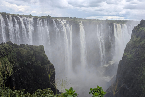 Victoria Falls Tour:Guided Walk with Female Guide