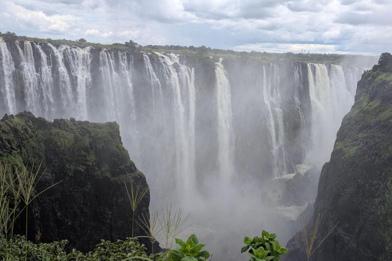 Victoria Falls Tour:Guided Walk with Female Guide