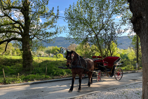 Sarajevo: Vrelo Bosne E-Bike Tour with Snacks
