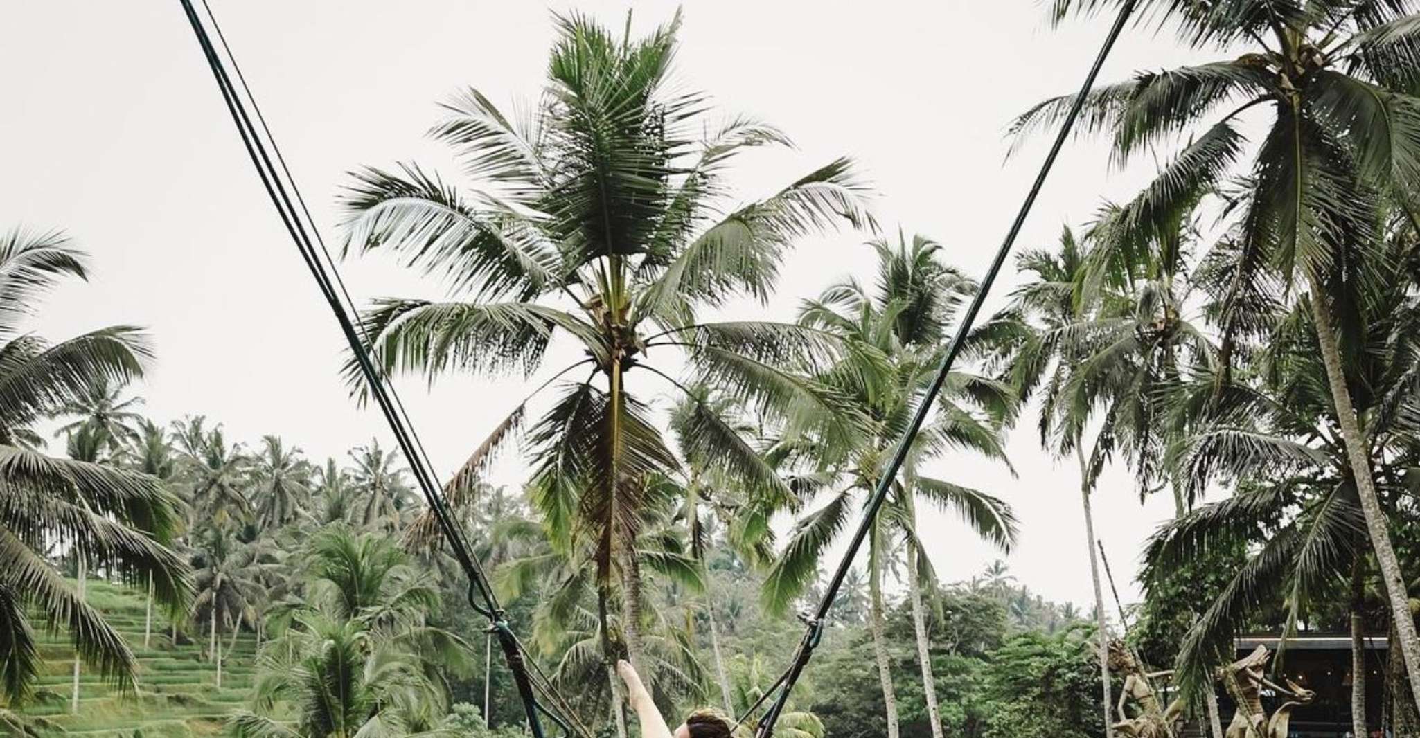 Best of Ubud Waterfalls, Rice Terraces & Jungle Swing Tour - Housity